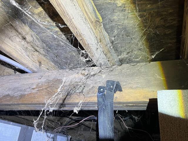 Floor Joist Mold Blasted Away in Musella, GA