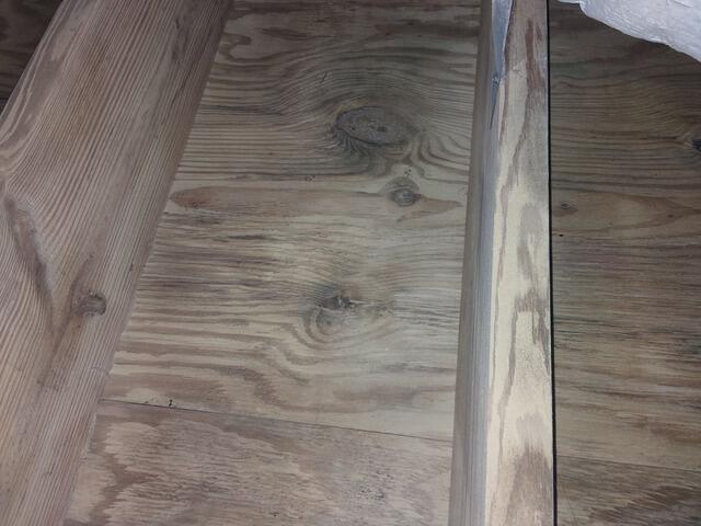 Mold Blasted Away in Bluffton, SC