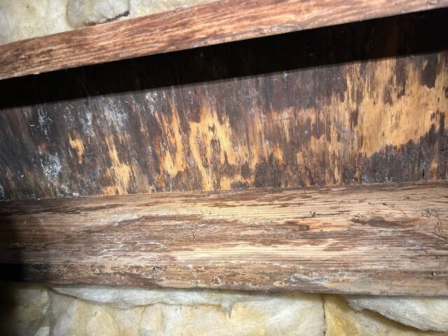 Mold Blasted Away in Bluffton, SC