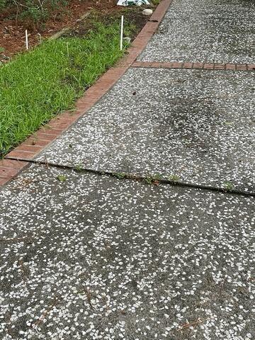 Walkway Leveled in Bluffton, SC