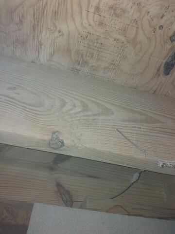 Nuwood Mold Treatment in Goose Creek, SC - After Photo
