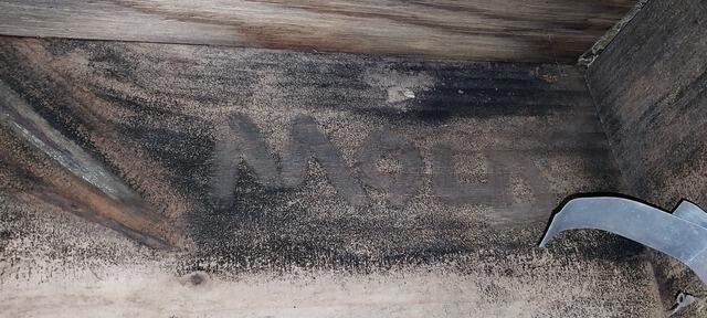 Nuwood Mold Treatment in Goose Creek, SC - Before Photo
