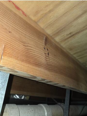 Mold Removal in a Crawl Space in Savannah, GA - After Photo