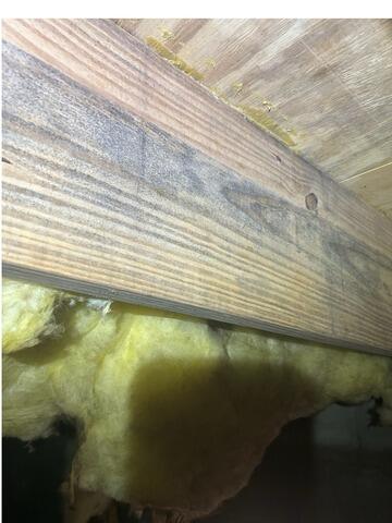Mold Removal in a Crawl Space in Savannah, GA - Before Photo
