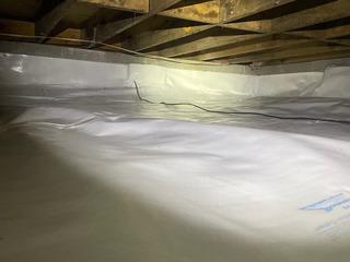 Moisture and Mold in the Crawlspace