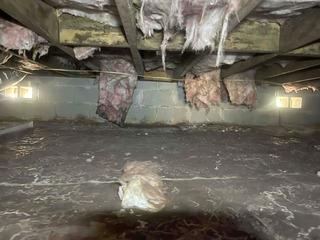Moisture and Mold in the Crawlspace
