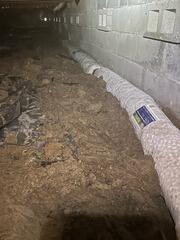 Crawlspace Water Intrusion Solved in Mount Pleasant, SC