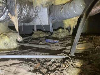 Crawlspace Transformation in Garnett, SC