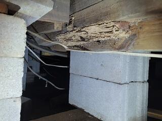 Floors Fortified in Rocky Ford, GA