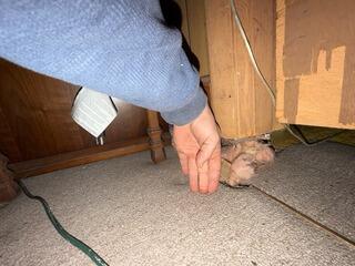 Sagging Floor Problem Solved With SmartJack Support Posts in Cochran, GA