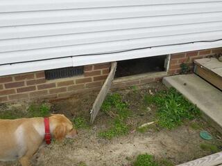 Vented Crawl Space Problems in Allentown, GA