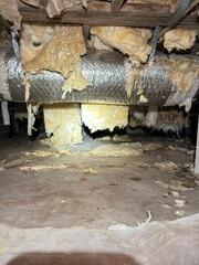 Main Beam Stabilized in Kingsland, GA