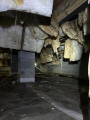 Crawlspace Transformation in Mansfield, GA