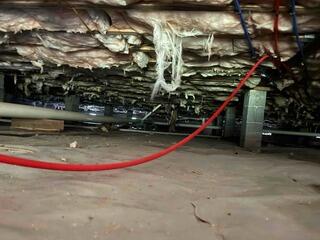 Crawlspace Transformation in Pine Mountain Valley, GA
