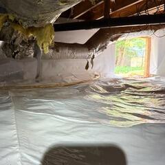 Crawl Space Transformation Stockbridge, GA