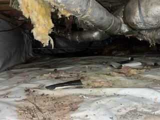 Total Crawl Space Transformation in Jamestown, SC