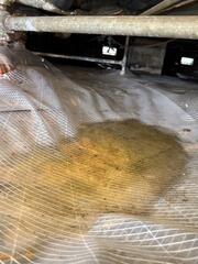 Crawl Space Encapsulation Eliminates Standing Water in Pineville, SC