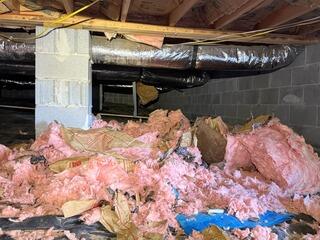 Total Crawl Space Transformation in Hemingway, SC