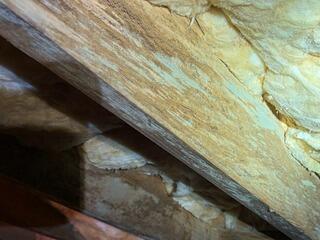 NuWood Given to a Homeowner in Lane, SC