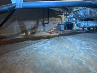 Crawl Space Transformation in Salters, SC