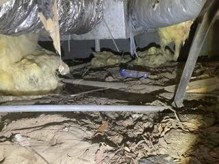 Total Crawl Space Transformation in Conway, SC