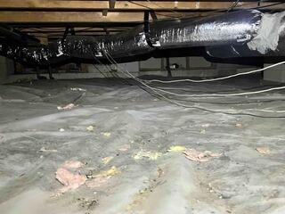 Crawl Space Encapsulation Eliminates Excess Moisture in Ulmer, SC