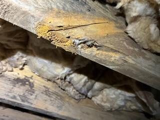 Sagging Floors Eliminated in Blackville, SC