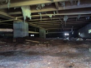 Total Crawl Space Transformation in Williston, SC