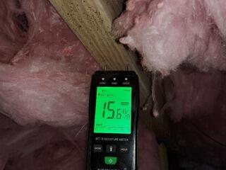 Total Crawl Space Transformation in Branchville, SC