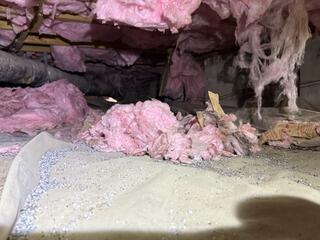 Crawl Space Encapsulation Eliminates Excess Moisture in Santee, SC