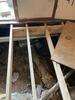 Floor System Rebuild in Allendale, SC