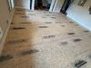 Homeowner Floors Made New in Bartlow, GA