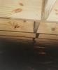 Foundation Repair in Elkhart, IN