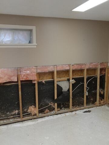 Interior Waterproofing in Ancaster, On