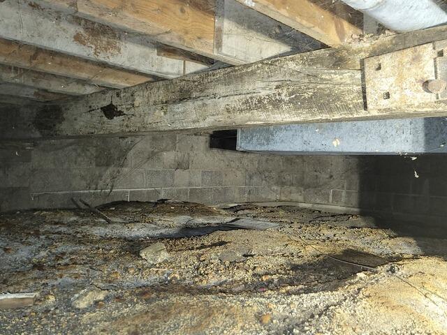 tranformation of a Crawlspace in Wainfleet, On