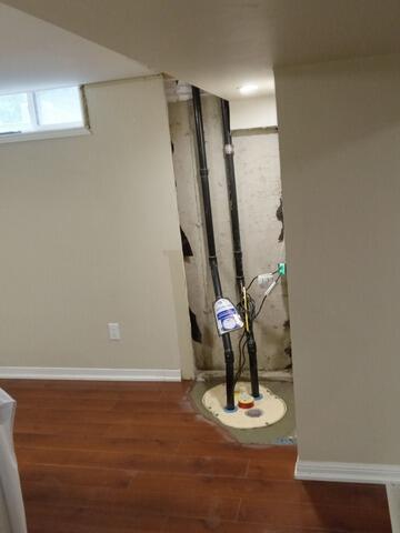 New Triplesafe sump pump system in Branchton, On