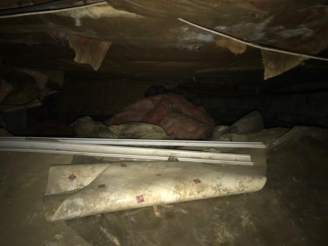 Damp Crawl Space Repair in Perryville, MD - Before Photo