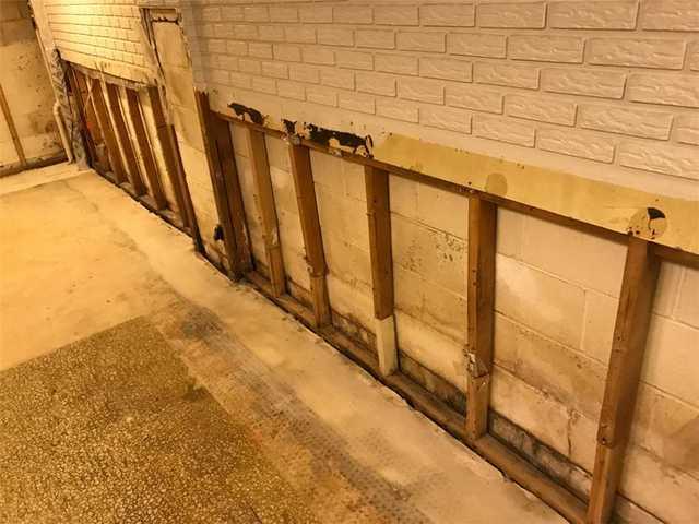 Joppa, MD Basement Waterproofing and Mold Remediation - Before Photo