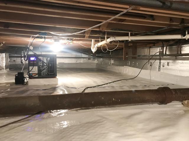 Musty Odors Cured in Drexel Hill Home! - After Photo