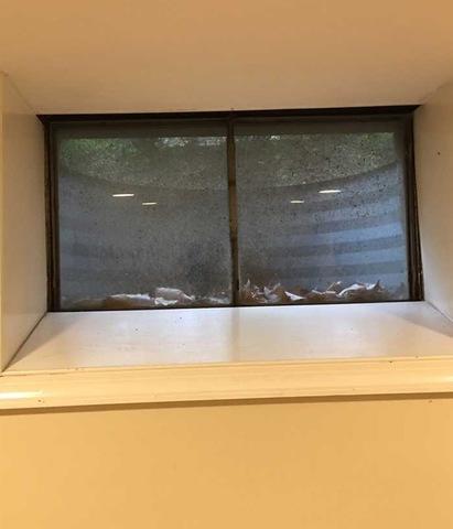 EverLast Windows installed in Wayne, PA - Before Photo