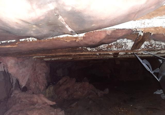 Crawl Space Mold Removal in Columbia, MD - Before Photo