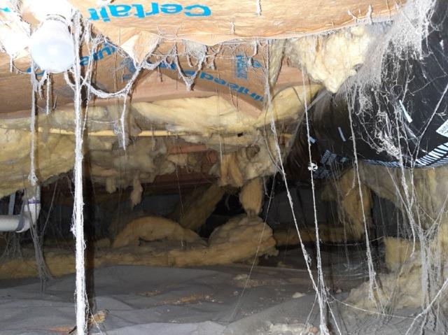 Crawlspace Rescue in Catonsville, MD - Before Photo