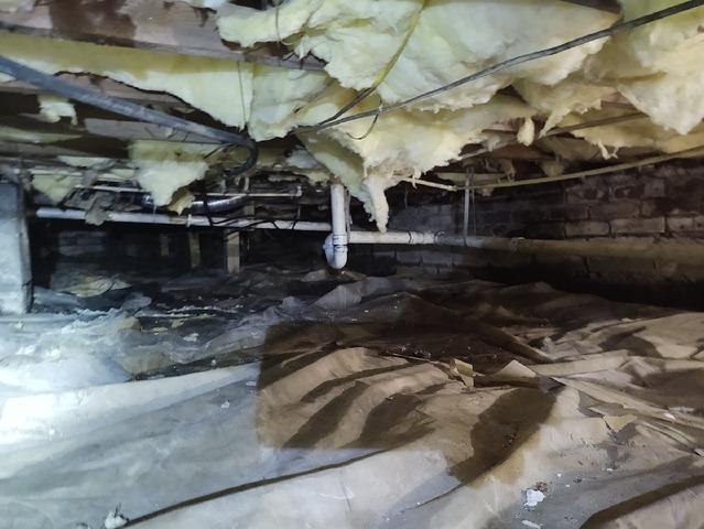 CrawlSpace Encapsulation in Carvel Beach, MD - Before Photo