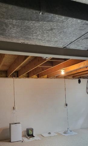 CarbonArmor in Abingdon, MD - Before Photo