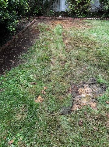 LawnScape in Catonsville, MD