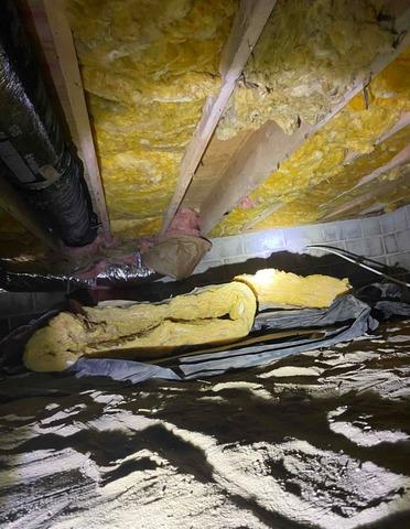 Crawl Space Encapsulation in Pasadena, MD - Before Photo