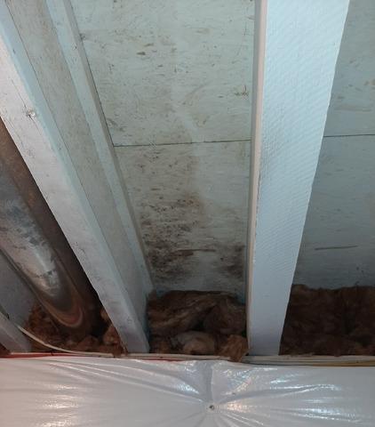Mold Remediation in Middletown, DE - Before Photo