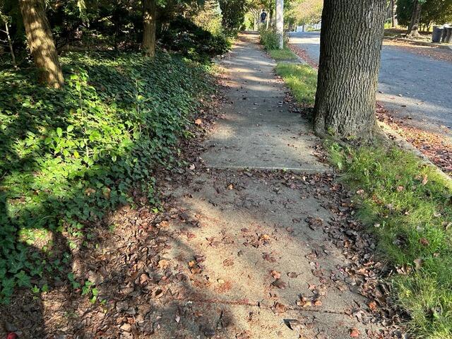 Lifting a Sunken Sidewalk in Allentown, PA - Before Photo