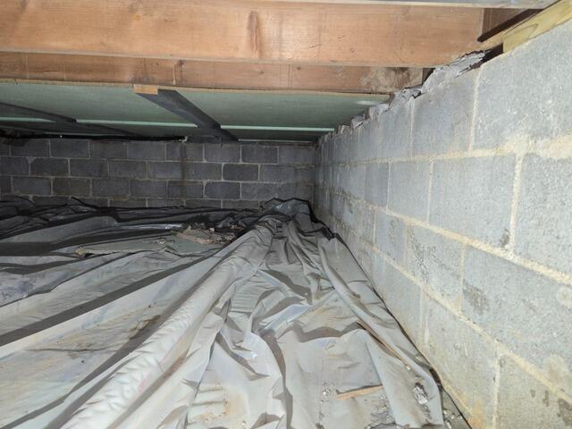 Crawl Space Encapsulation in Berwyn, PA - Before Photo