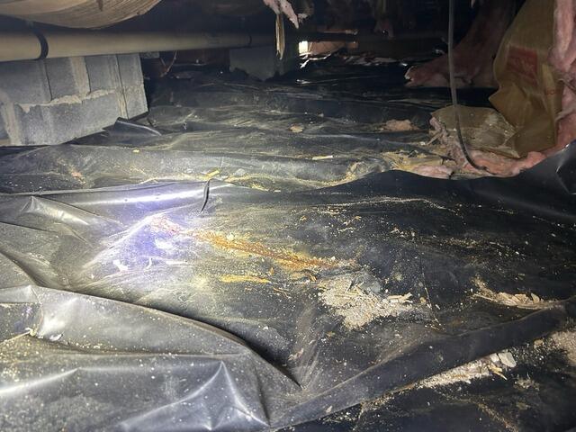 Combatting Water Seepage In Cape May, NJ Crawl Space - Before Photo